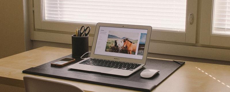 The 16 Best Laptops for Designers